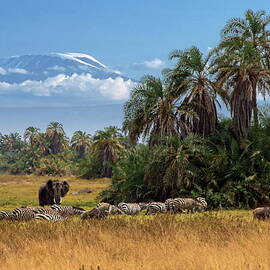 Kilimanjaro Art for Sale Fine Art America