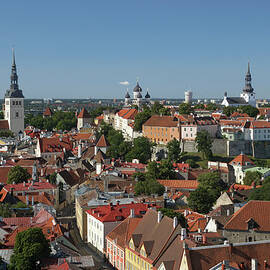 Elevated View Of Tallinn With Toompea by Guy Vanderelst