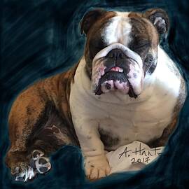 English Bulldog Gus, Asleep Upright 2 by Adrienne Hantz Kelley