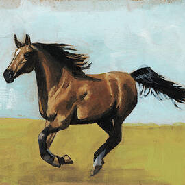 Equestrian Studies Ii by Naomi Mccavitt