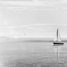Evening Sail Black And White Crop by Sue Schlabach
