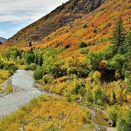 Fall Colors on Highway 133 South by Ray Mathis