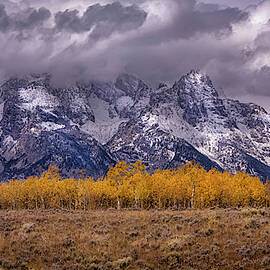 Fall in Grand Tetons by Alinna Lee