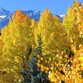 Fall Mountain Scenic by Dougberry