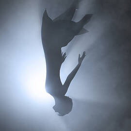 Falling by Terry F