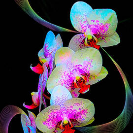 Fantasy Orchids in Full Color by Rosalie Scanlon