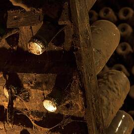 Fermentation According To The Méthode Champenoise For Two Years In A Wine Vault by Lutt, Carine
