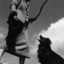 Fetch by Chaloner Woods