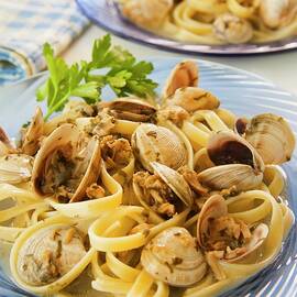 Fettuccine With Baby Clams In A White Sauce by Poplis, Paul