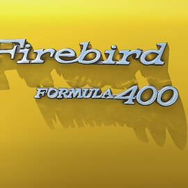 Firebird Formula 400 by Scott Norris