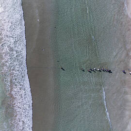 Fisherman From The Sky by Haitham Al Farsi