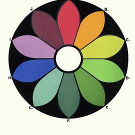 Five Pairs Of Complementary Colours Forming A Chromatic by James Ward