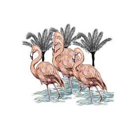 Flamingos And Palm Trees by Marshal James