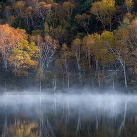 Foggy Pond by Takeshi Mitamura