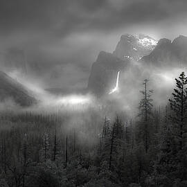 Foggy Yosemite Valley by Anna An
