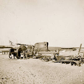 Folly Island, S.C. (vicinity of Charleston). Beached remains of the British-built blockade runner Ruby, run aground after passing the Federal squadron, June 10-11, 1863 by 