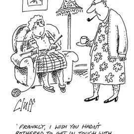 Frankly, I Wish You  Hadn't Bothered To Get In Touch by Cluff
