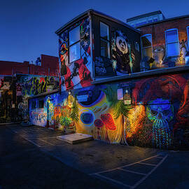 Freak Alley Boise Idaho by Michael Ash