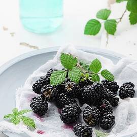 Fresh Blackberries With A Muslin Cloth On A Plate by Ewgenija Schall