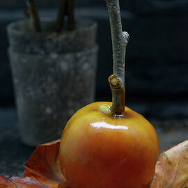 Freshly Made Toffee Apple, Close-up by Diana Miller