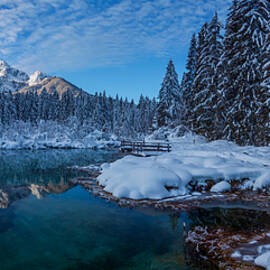 Frozen Morning by Bor