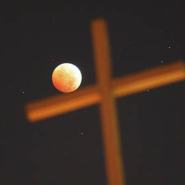 Full Lunar Eclipse Visible As Moon by David Mcnew