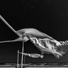 Ghosts On The Beach. by Harry Verschelden
