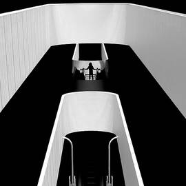 Going Up, Going Down. by Robin Wechsler