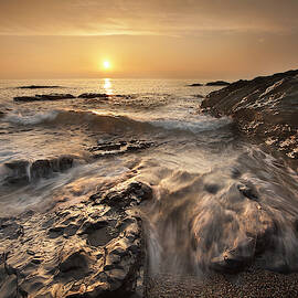 Golden Dawn by Niall Whelan