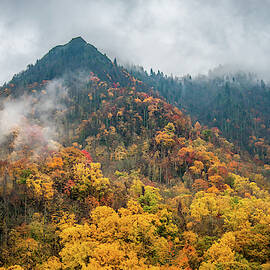 Great Smoky Mountains National Park TN Chimney Tops Autumn by Robert Stephens