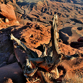 Green River Overlook in Canyonlands National Park by Ray Mathis