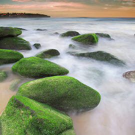 Green Rocks At Curl Curl Beach by Yury Prokopenko