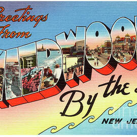 Wildwood Greetings - Version 2 by Mark Miller