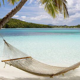 Hammock Hung On Palm Trees On A by Cdwheatley