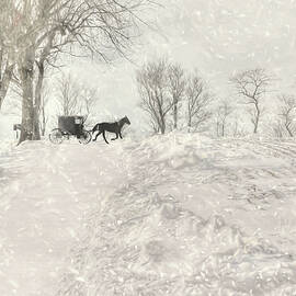 Happy Holidays from PA by Lori Deiter