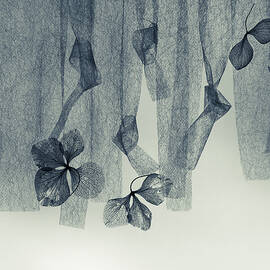 Harmony Of Irregular Rhythms by Shihya Kowatari