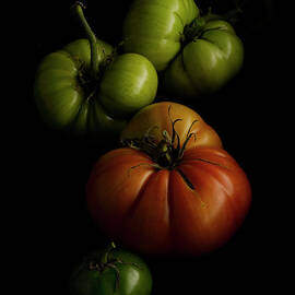 Heirloom Tomatoes On A Black Background by Howard Bjornson