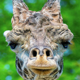 hello gorgeous by RJ Stein Photography