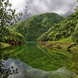 High Altitude Boeri Lake In Old Volcano Crater, Morne Trois by Derek Galon / Naturepl.com