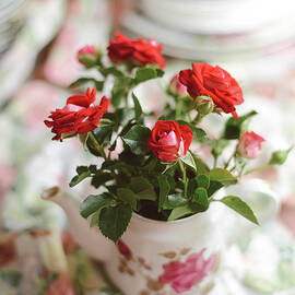 High Angle View Of Roses In Teapot On Tablecloth by Cavan Images