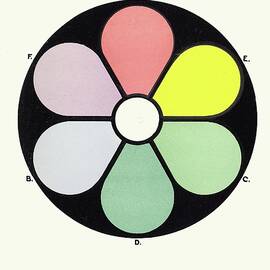 Highly Illuminated Tints Of The Primaries by James Ward