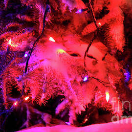 Holiday Lights-7869 by Gary Gingrich Galleries