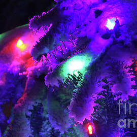 Holiday Lights-7893 by Gary Gingrich Galleries