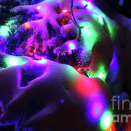 Holiday Lights-7971 by Gary Gingrich Galleries