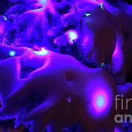 Holiday Lights-7977 by Gary Gingrich Galleries