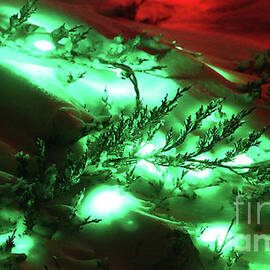 Holiday Lights-8192 by Gary Gingrich Galleries