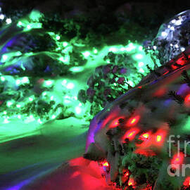 Holiday Lights-8201 by Gary Gingrich Galleries