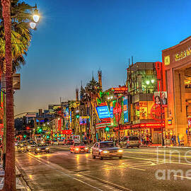 Hollywood Boulevard Beautiful Night Rain Reflections Lit by David Zanzinger