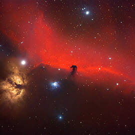 Horsehead And Flame Nebulae In Orion by Paschalis Bartzoudis