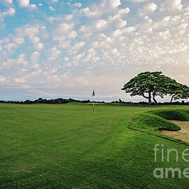 Hualalai Par 3 17th by Scott Pellegrin